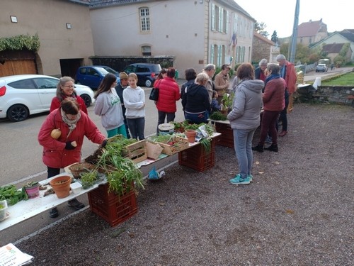Troc plante - 5 novembre 2022