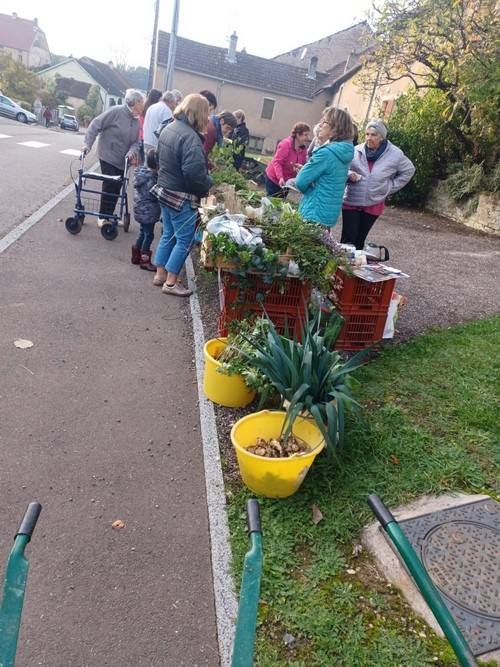 Troc plante - 5 novembre 2022