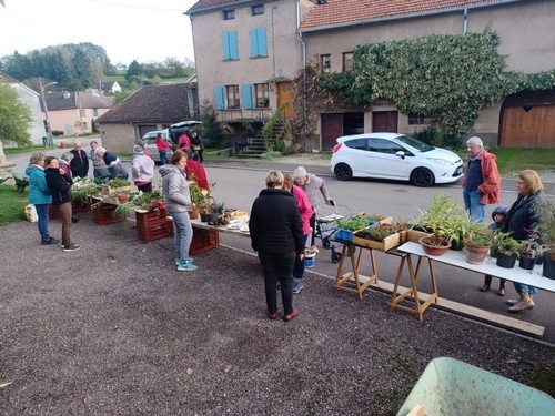 5 nov 2022 troc plantes 6 