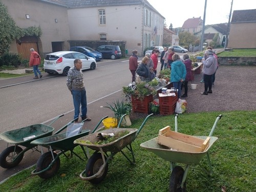 5 nov 2022 troc plantes 7 