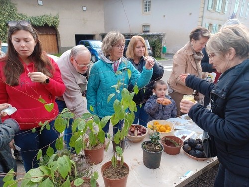 5 nov 2022 troc plantes 8 