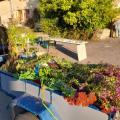 16 oct 2021 frmc troc plantes 14 