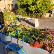 16 oct 2021 frmc troc plantes 14 