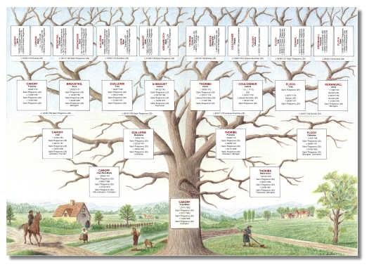 Arbre genealogique